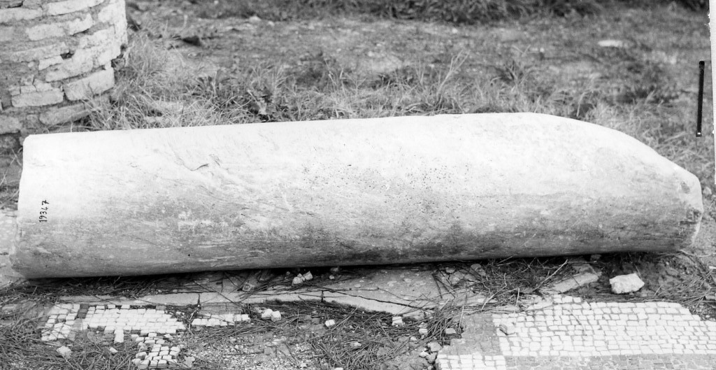 colonna (non determinabile)