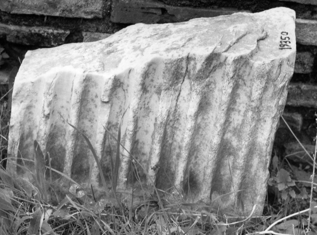 lesena (non determinabile)