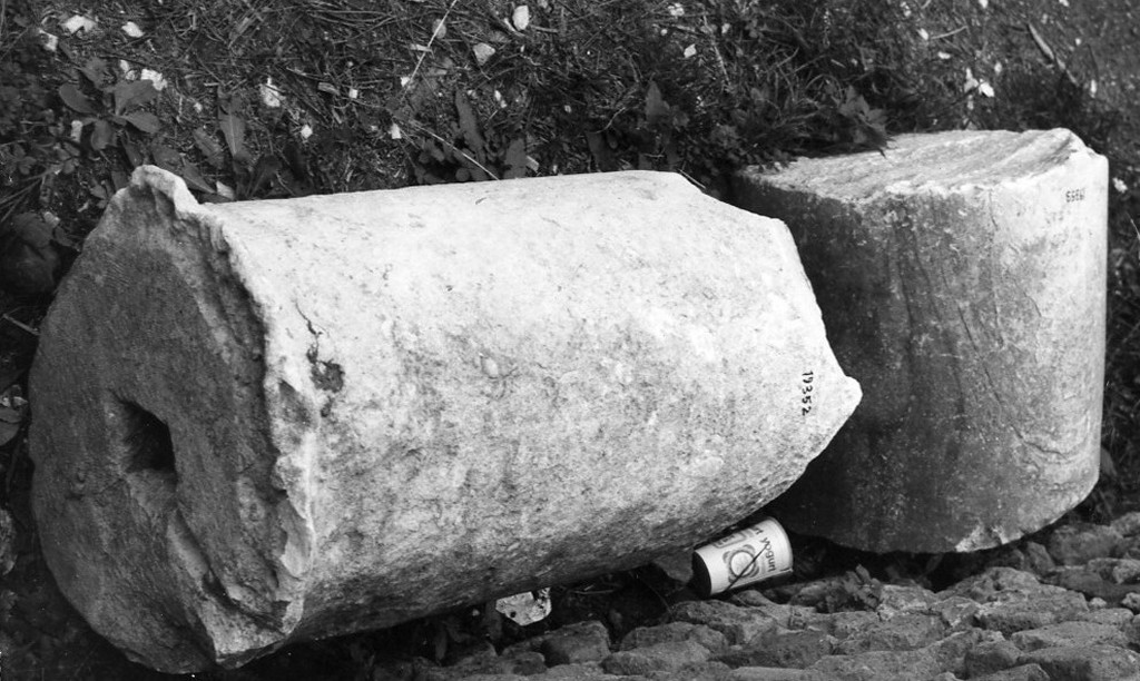 colonna (non determinabile)