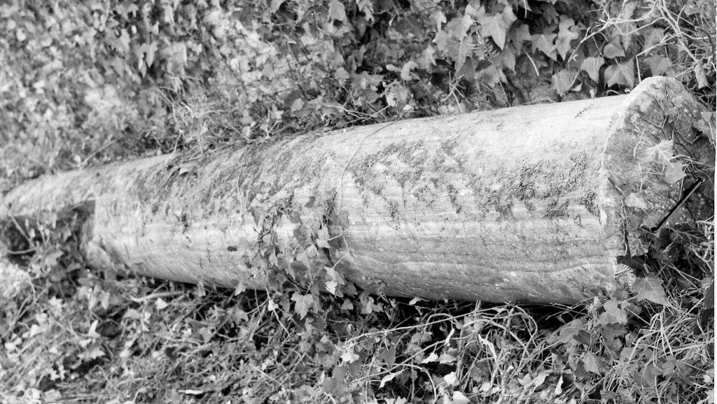 colonna (non determinabile)