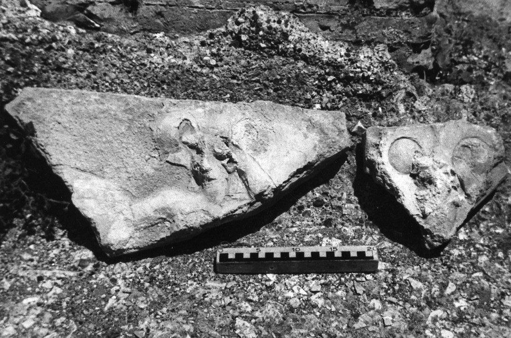 elemento decorativo (non determinabile)