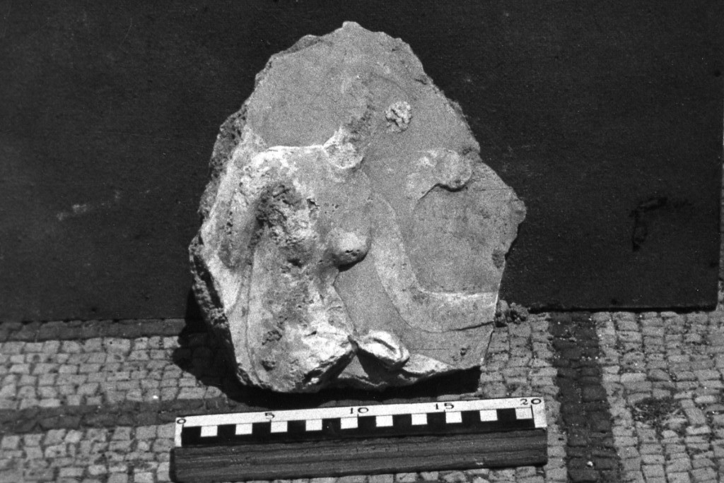 elemento decorativo (non determinabile)