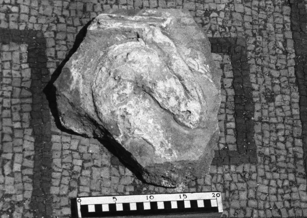 elemento decorativo (non determinabile)