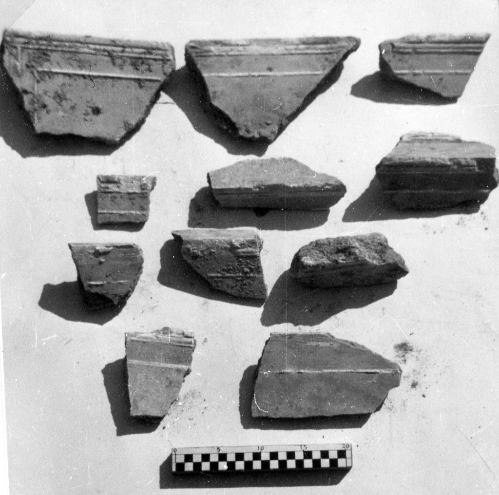 elemento decorativo (non determinabile)