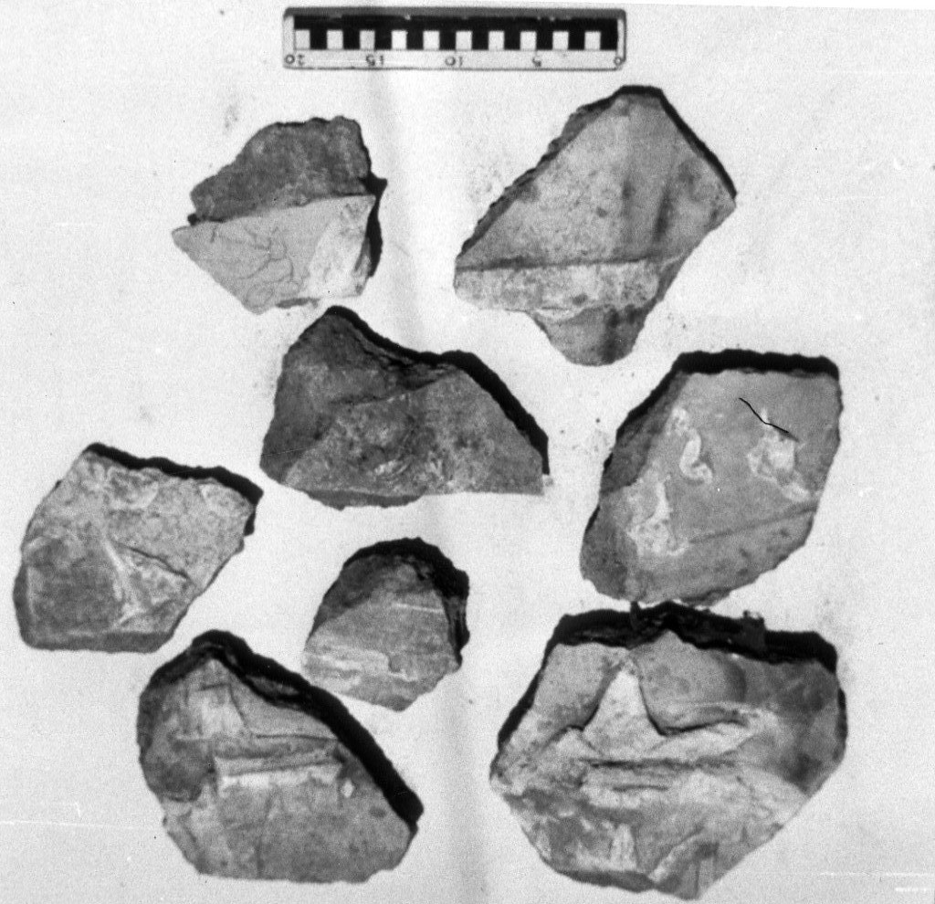 elemento decorativo (non determinabile)