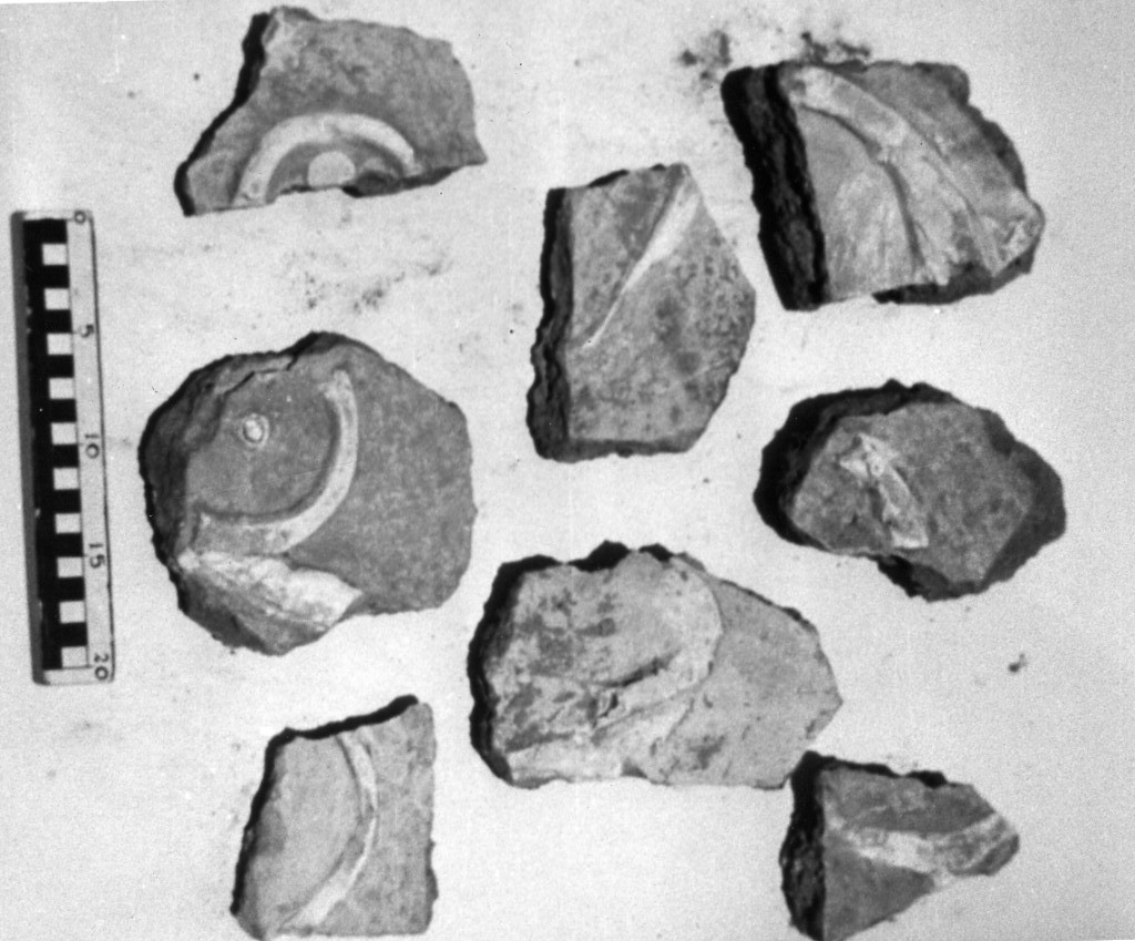 elemento decorativo (non determinabile)