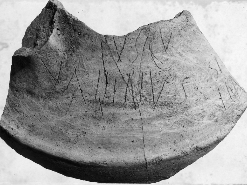 anfora - FVSCV(S) VALERIVS (non determinabile)