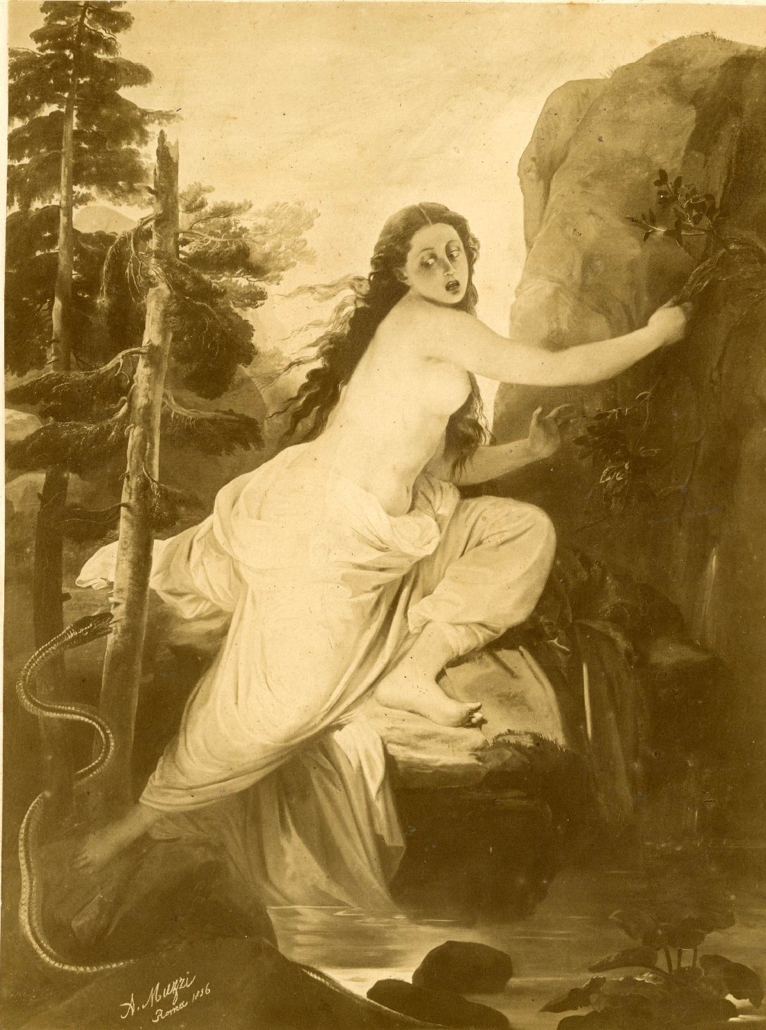 Bagnante spaventata - Dipinti - Bozzetti (positivo) di Muzzi, Antonio, Anonimo (XIX)