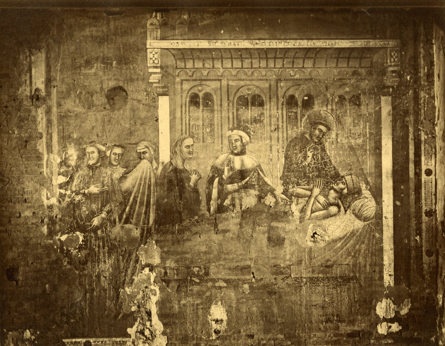 Storie della vita di S. Francesco - Pitture murali (positivo) di Francesco da Rimini, Anriot, Emilio (attr) (XIX)