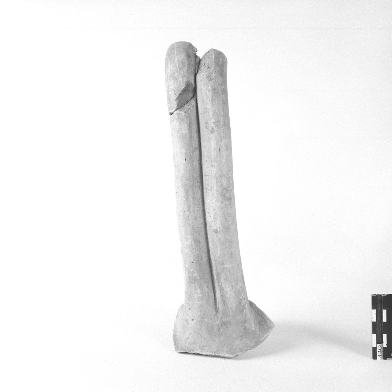 Ansa bifida, Dressel 2/4 - produzione (seconda metà Sec. I a. C)