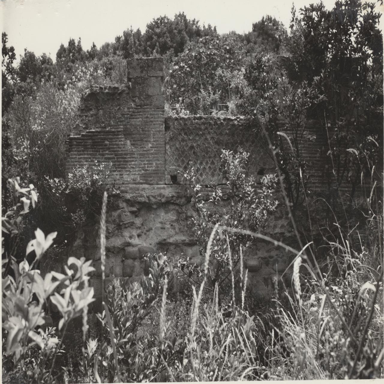 Napoli Posillipo. Villa Paratore (negativo) di Anonimo (XX)