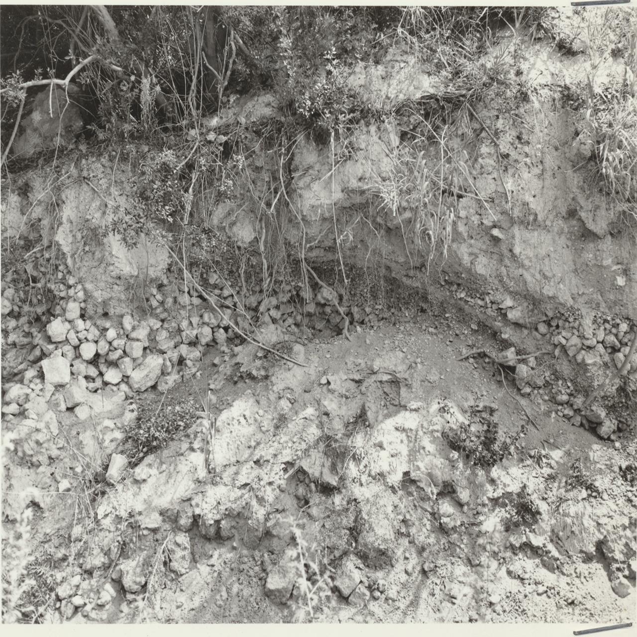 Napoli Posillipo. Villa Paratore (negativo) di Anonimo (XX)