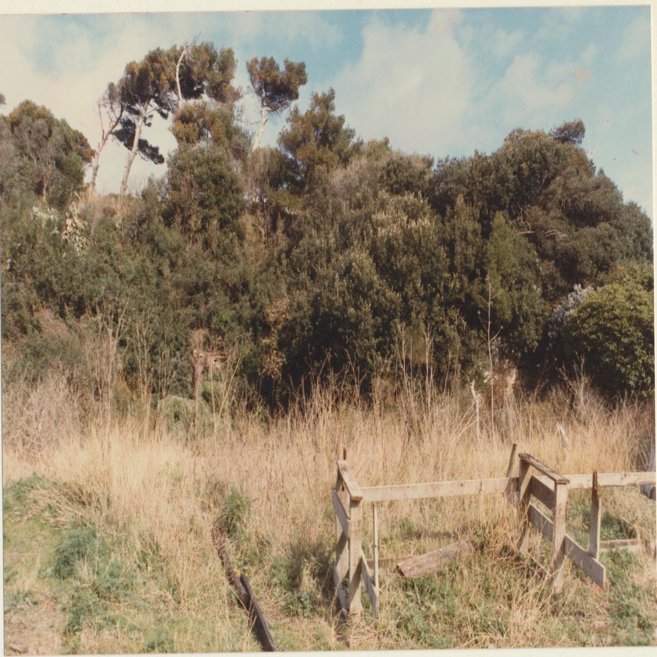 Napoli Posillipo. Villa Paratore (negativo) di Anonimo (XX)