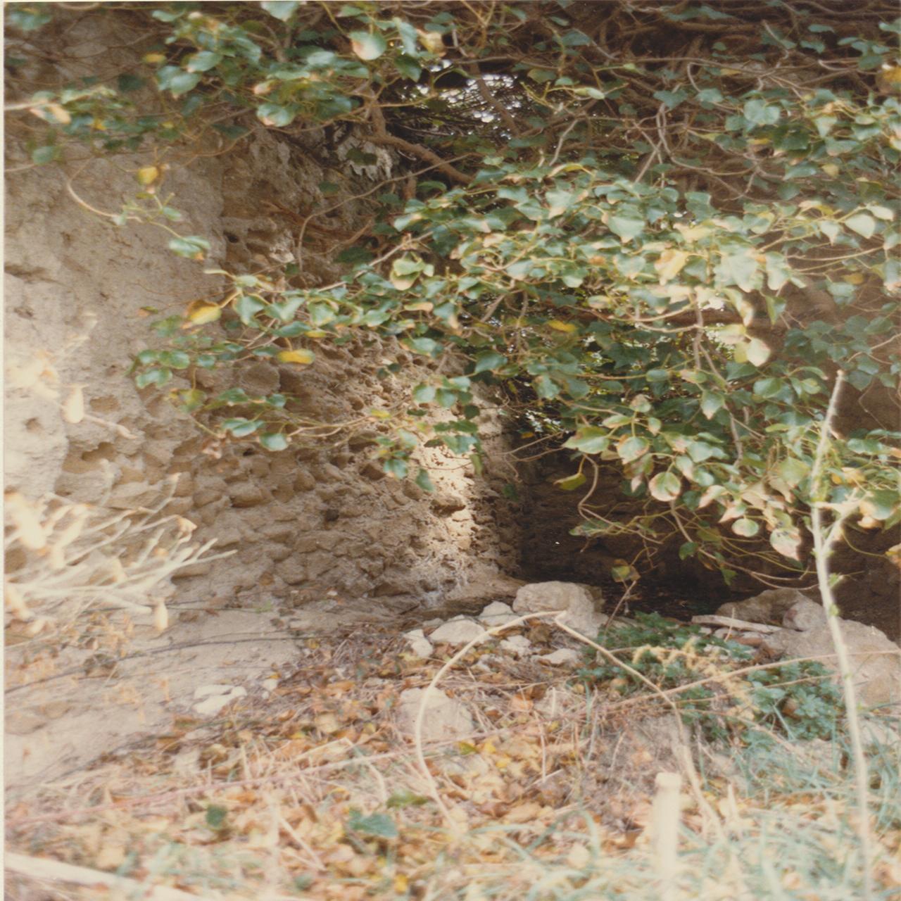 Napoli Posillipo. Villa Paratore (negativo) di Anonimo (XX)