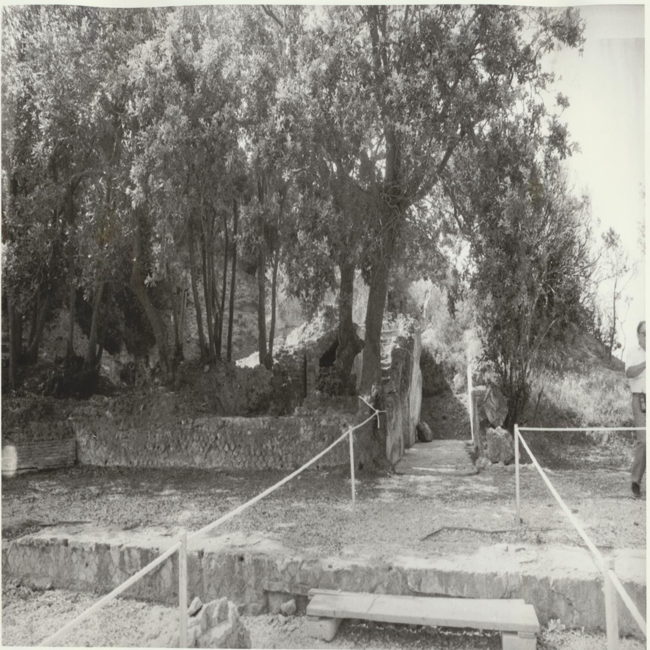 Napoli Pausilypon area dell'Odeion (negativo) di Lamagna (XX)