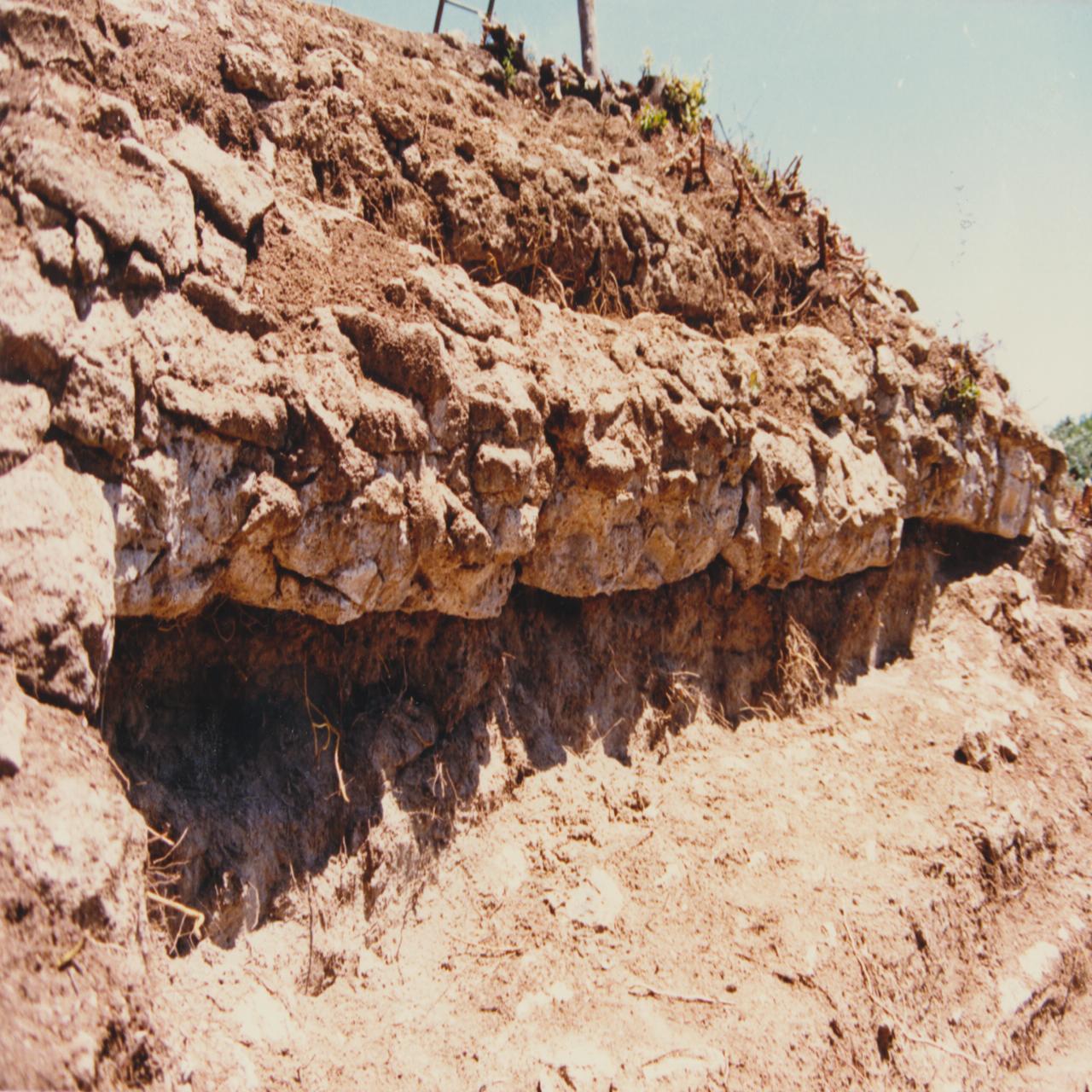 Napoli_Posillipo (negativo) di Anonimo (XX)
