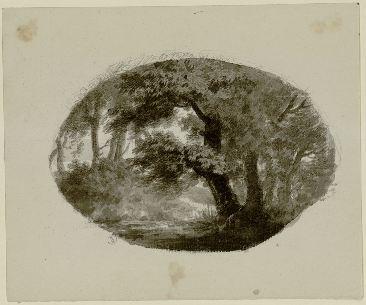 foresta (ovale, oblungo) (disegno) di Bagetti Giuseppe Pietro (prima metà sec. XIX)