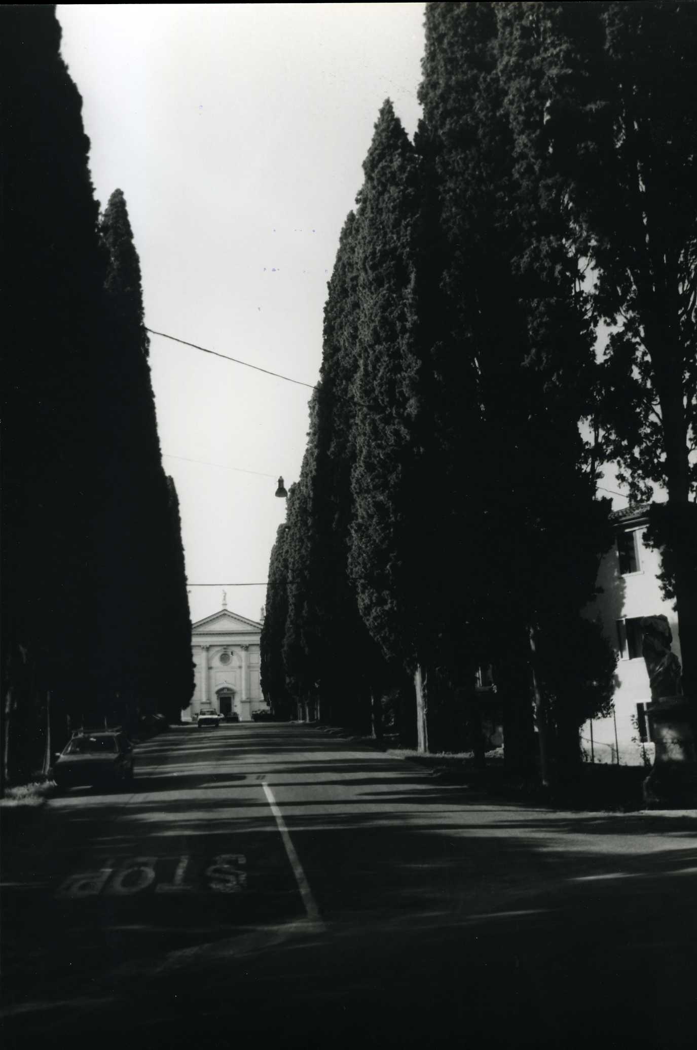 Viale della SS. Trinità (viale alberato) - Bassano del Grappa (VI)  (XIX, inizio)