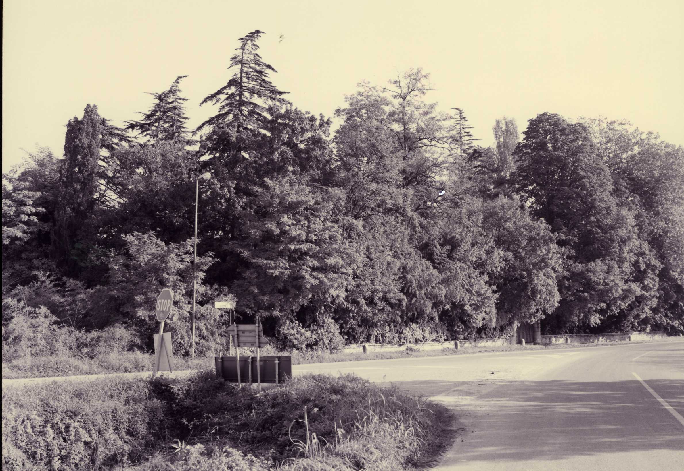 Villa La Colombara (villa, padronale) - Colognola ai Colli (VR)  (XVIII, metà)