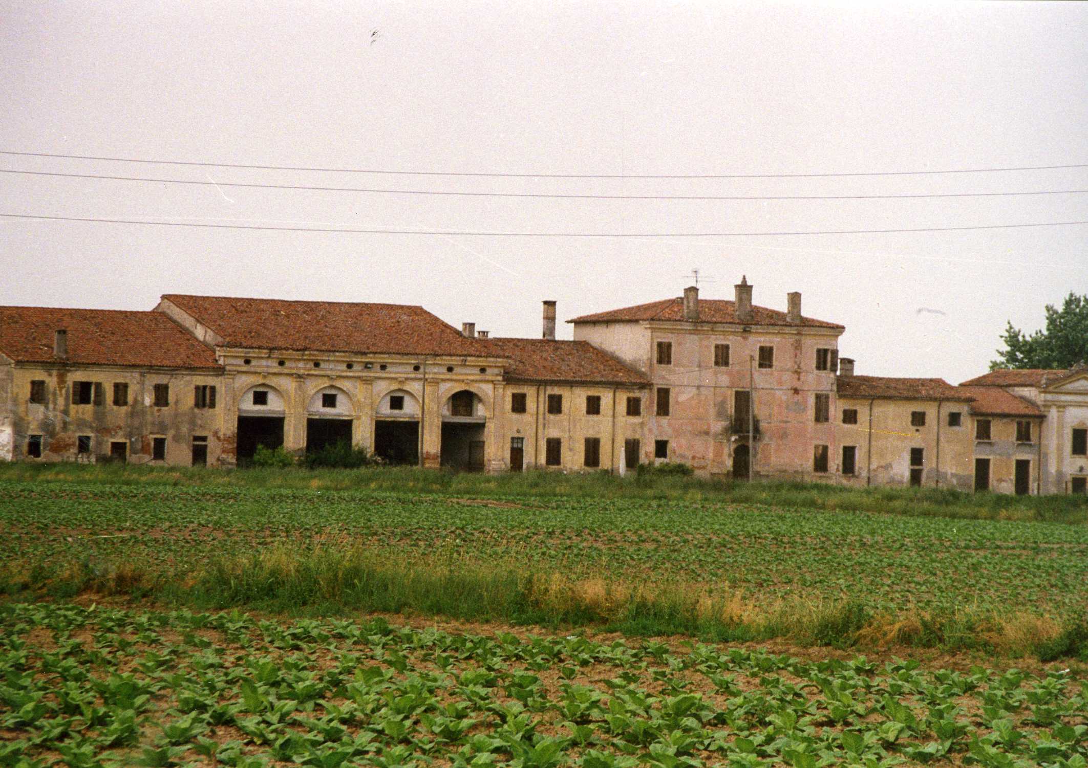 Corte Torre (casale, rurale) - Isola della Scala (VR) 