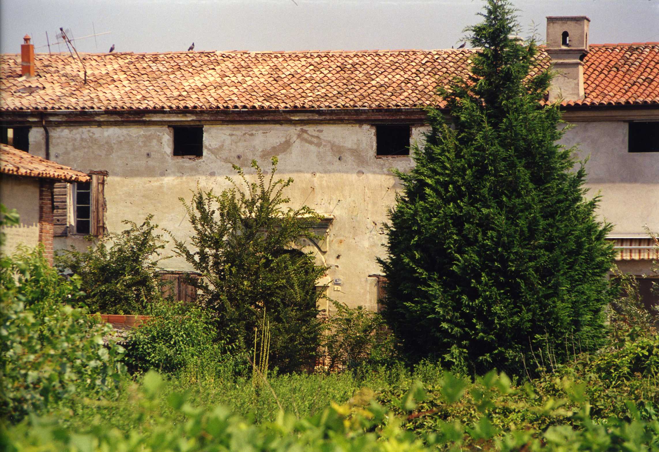 Corte Decima (casale, rurale) - Trevenzuolo (VR)  (XVII)