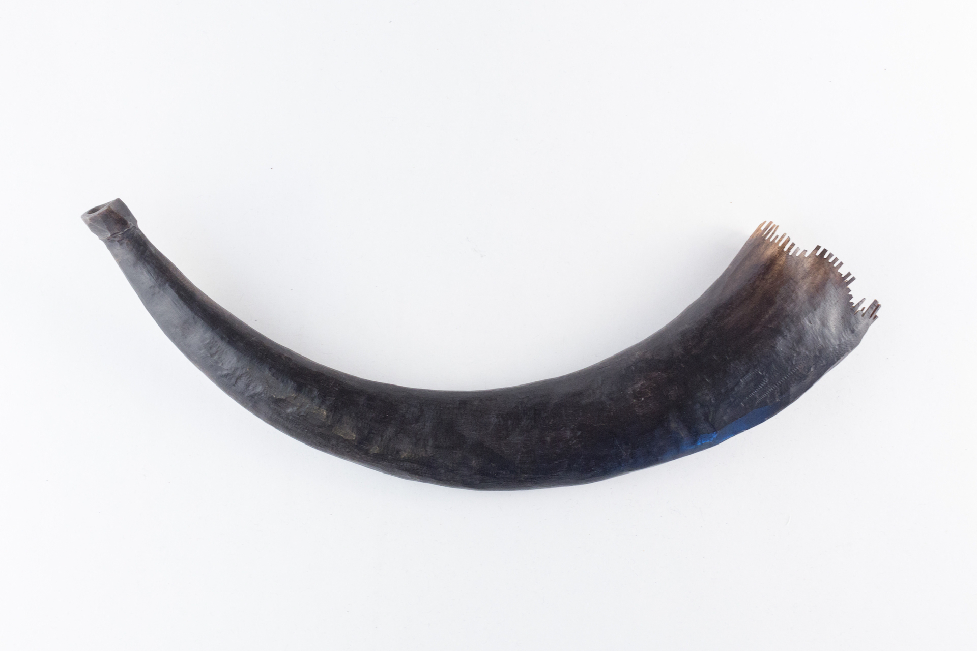 shofar - ambito ebraico (inizio XIX)
