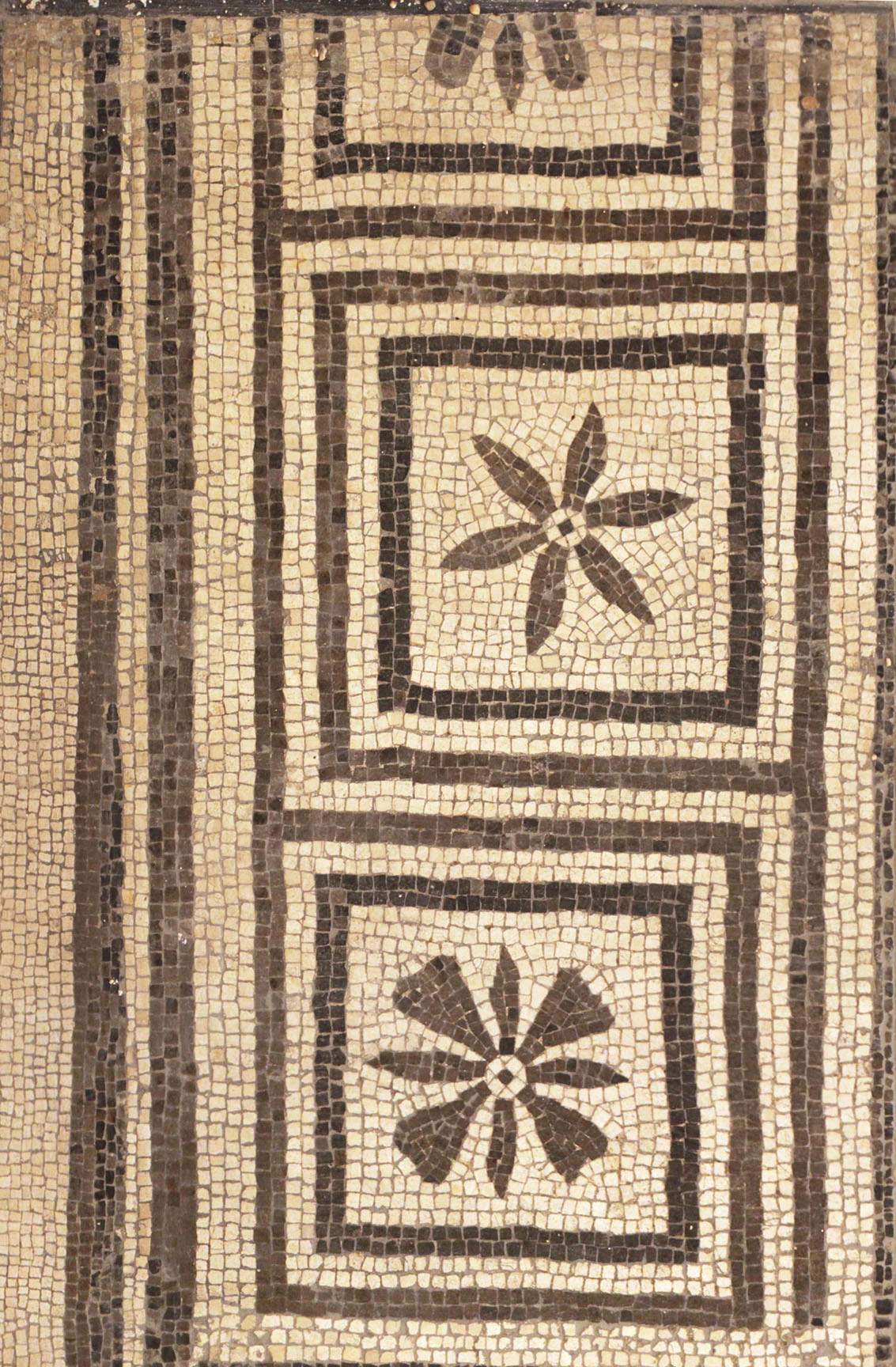 mosaico - Decorazione musiva romana (SECOLI/ I)