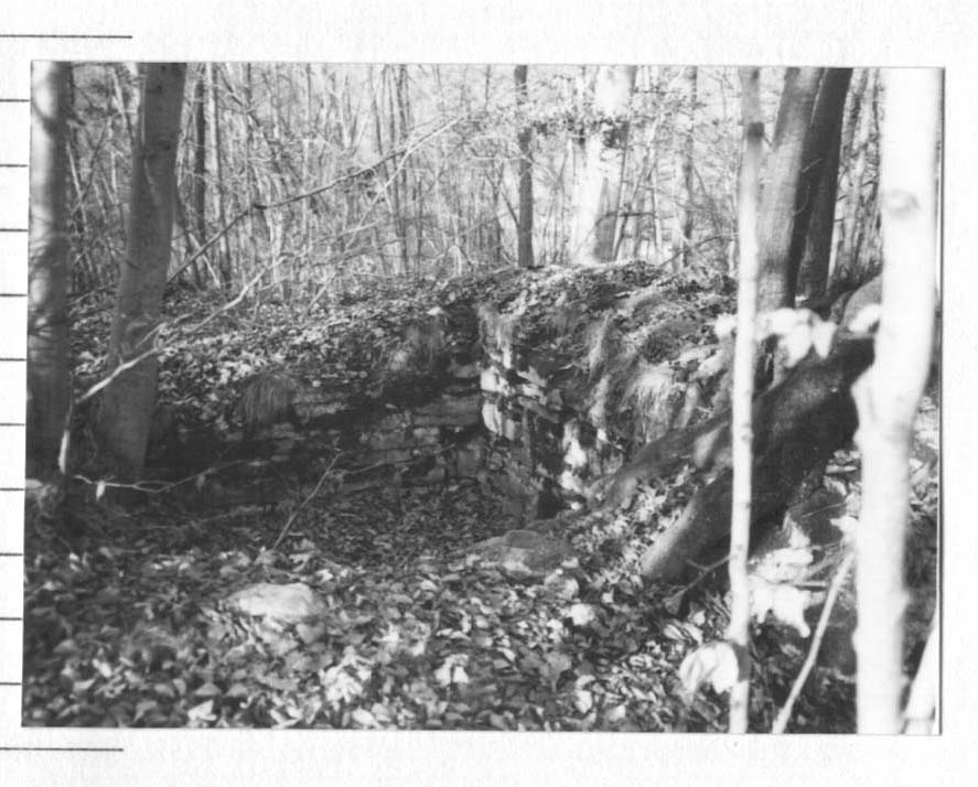 Torre di Aleramo (torre (resti), di segnalazione) - Calizzano (SV)  (XII)