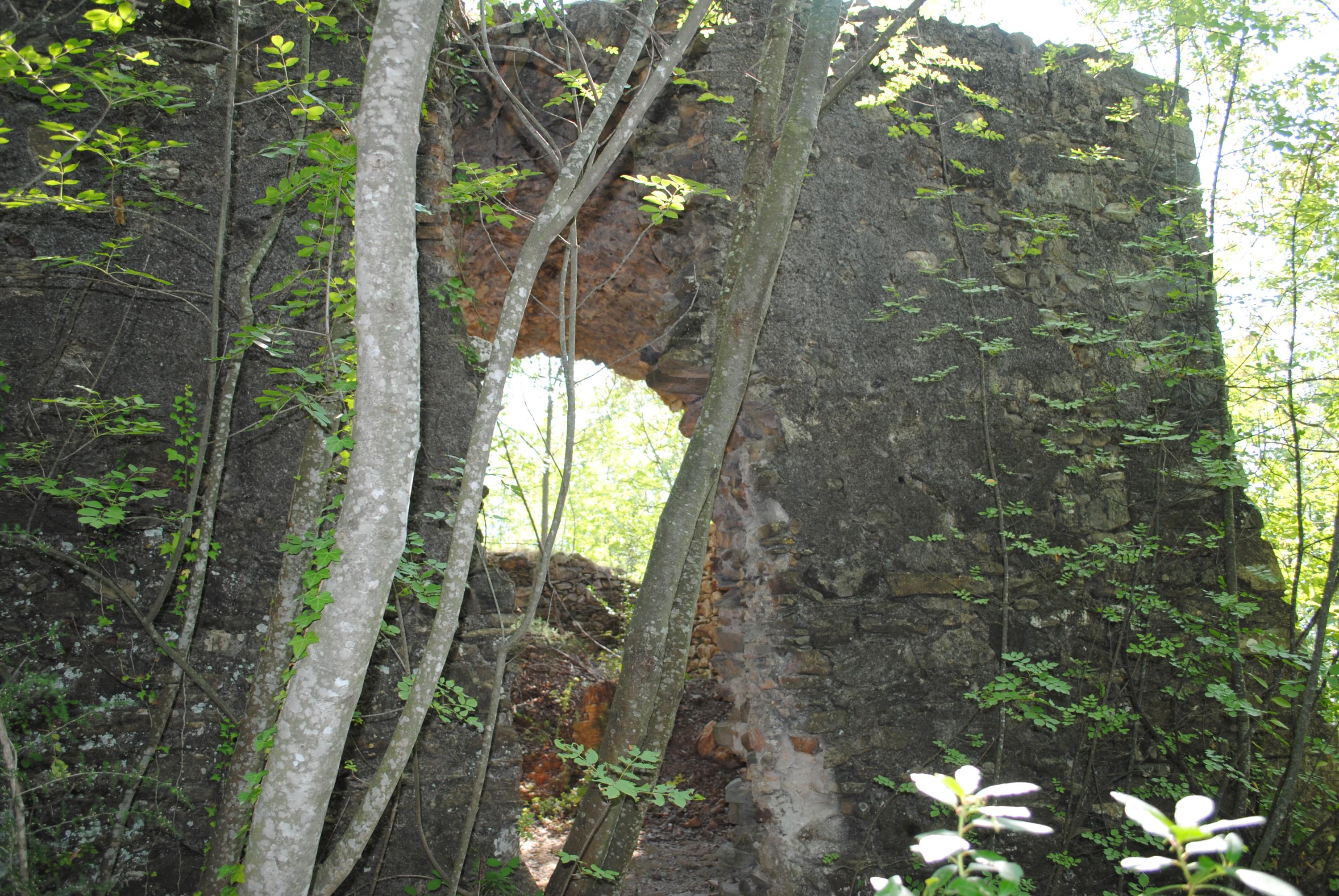 Resti del castello di Maremo (castello, difensivo) - Casanova Lerrone (SV)  (XIV)