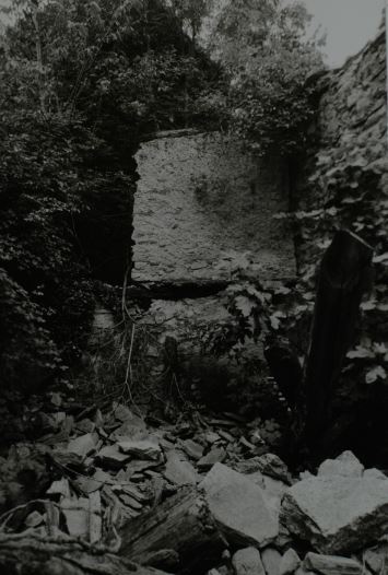 Architettura urbana minore (casa) - MONTECRESTESE (VB)  (XVII, metà)