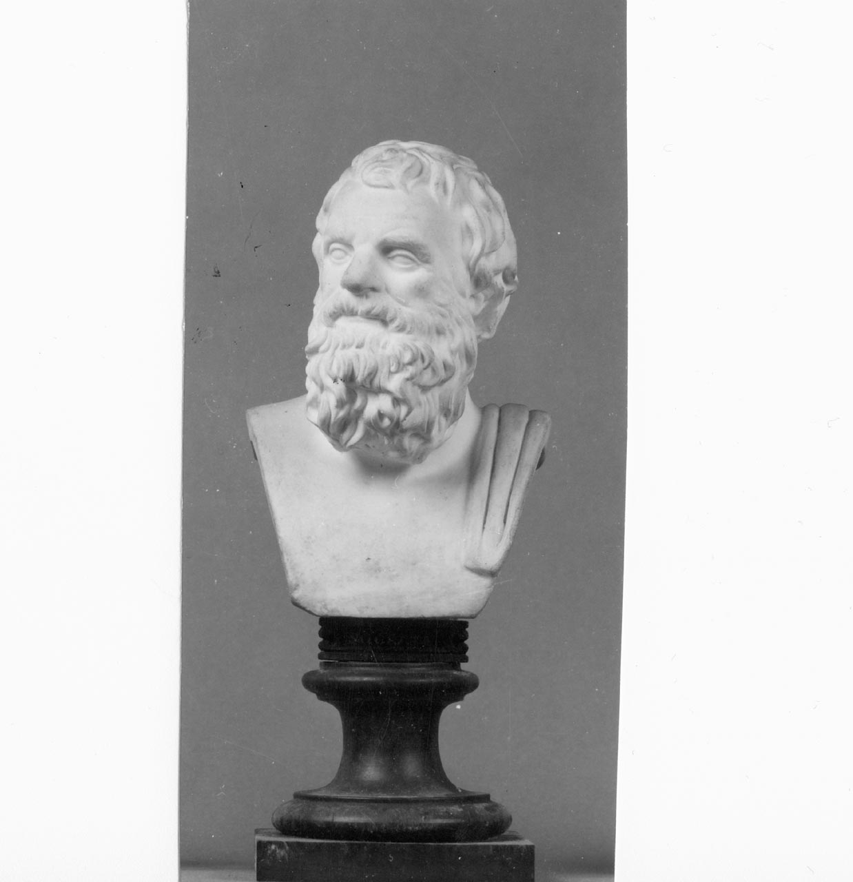 Busto di Socrate (busto) di Filippo Tagliolini - manifattura Reale Fabbrica di Napoli (XVIII)