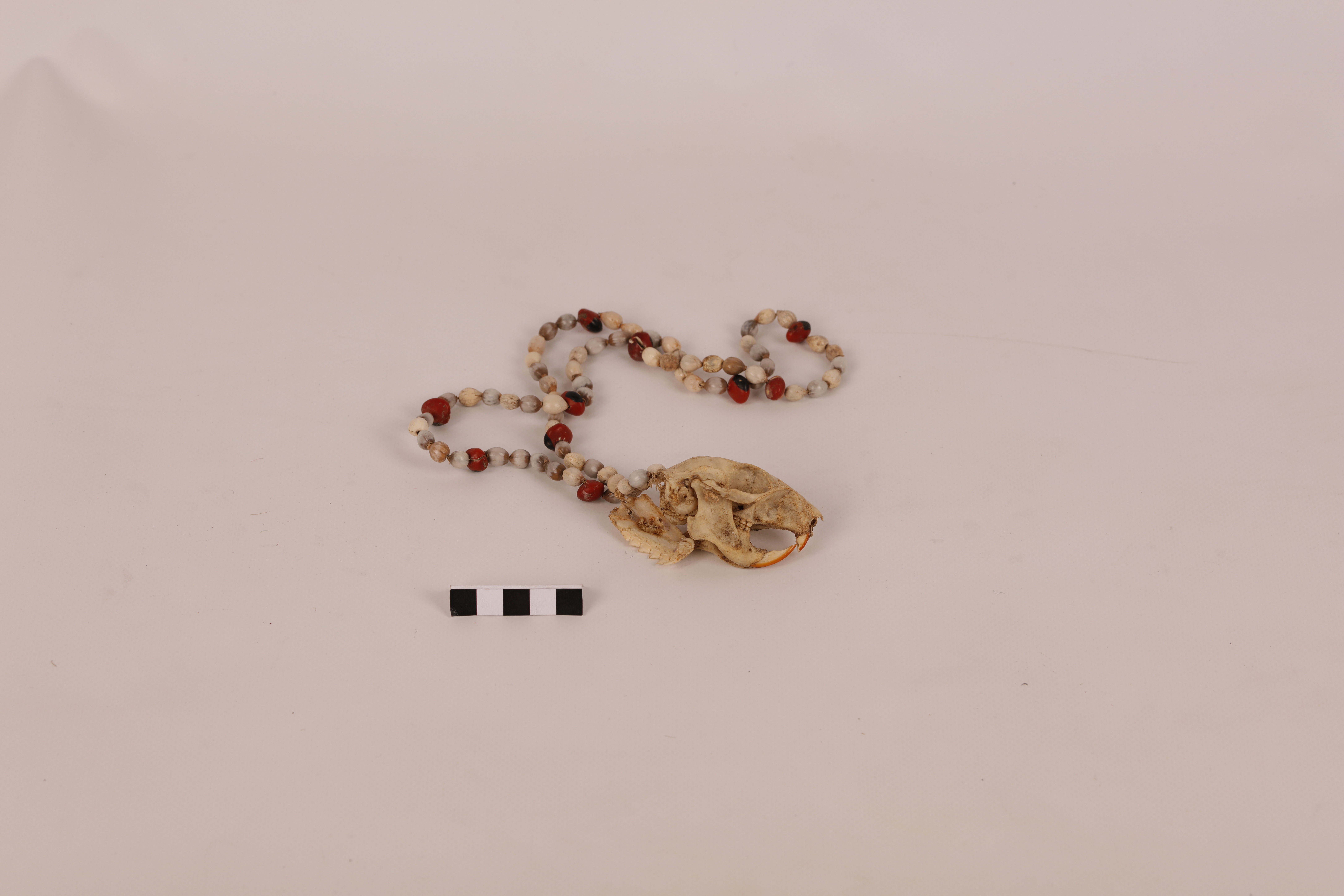 Collana, ABBIGLIAMENTO E ORNAMENTI DEL CORPO/ ACCESSORI - Yagua