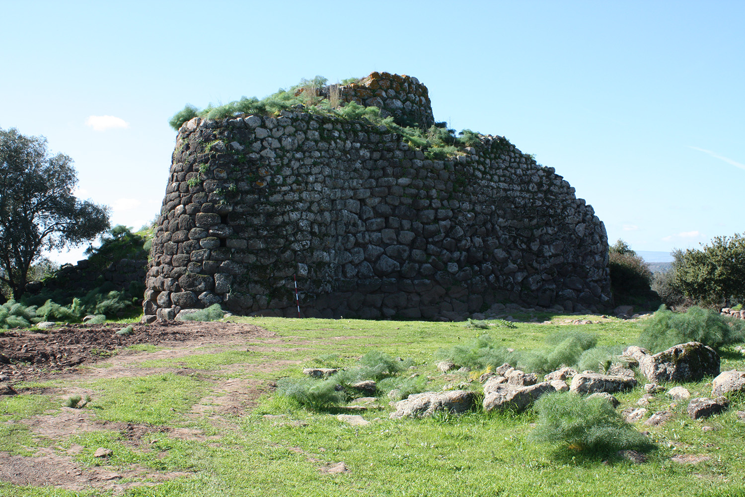 Complesso di Iloi (villaggio nuragico/nuraghe/necropoli, insediamento) - Sedilo (OR)  (PERIODIZZAZIONI/ Protostoria/ Eta' del Bronzo/ Eta' del Bronzo medio)