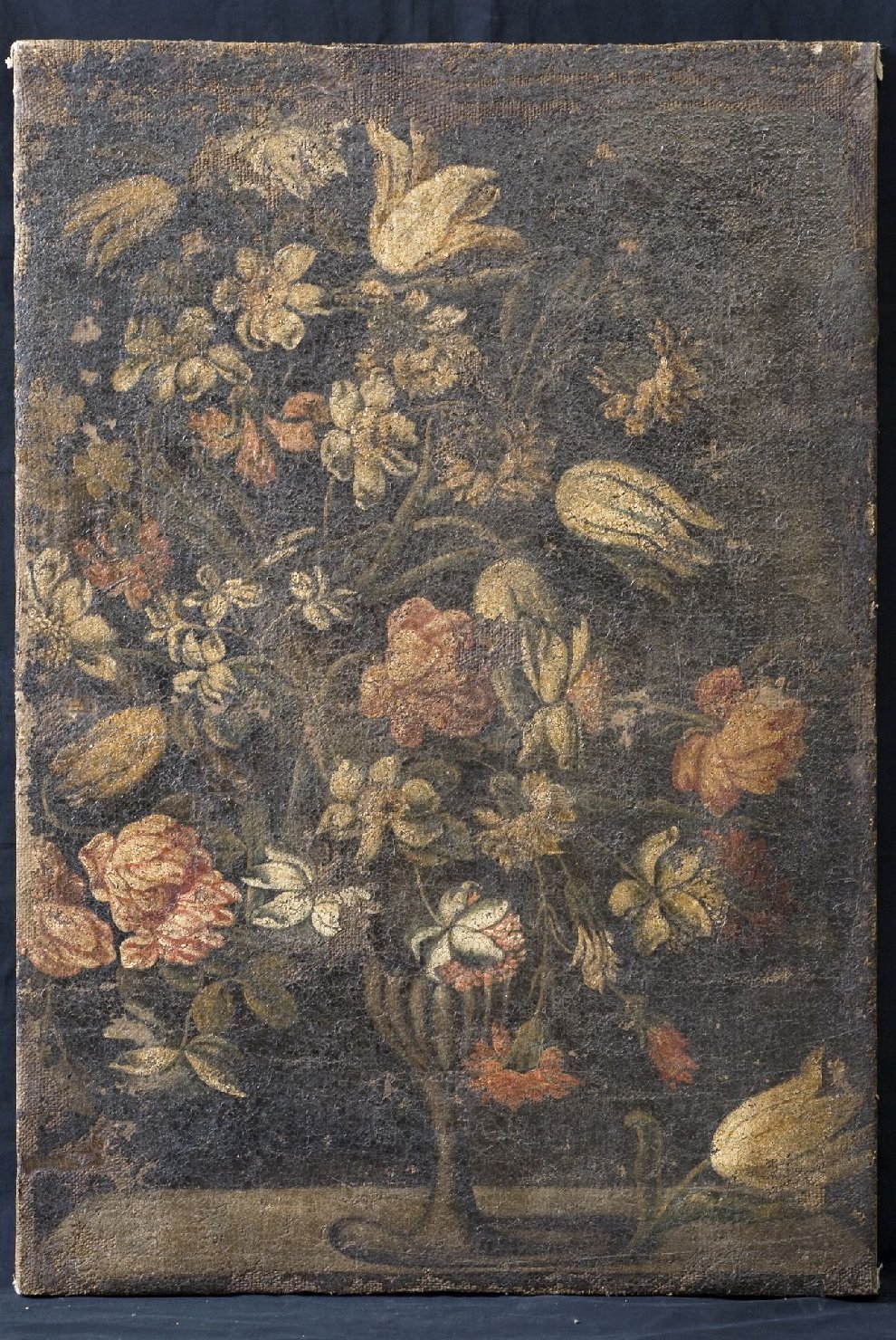vaso con fiori (dipinto, opera isolata) - ambito Italia centrale (ultimo quarto sec. XVII)