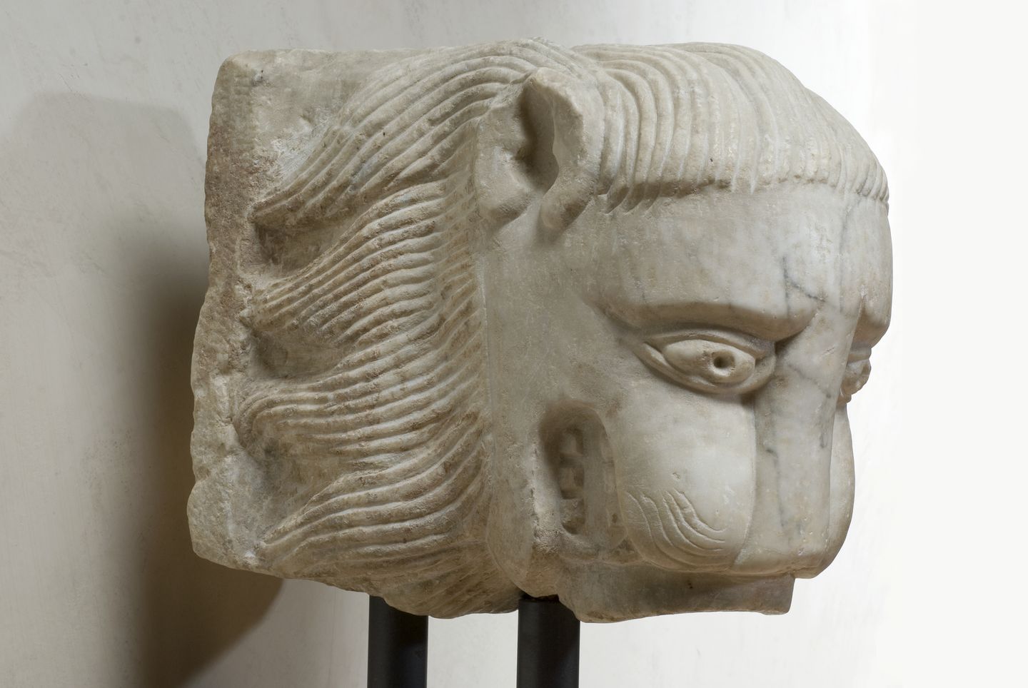 testa di leone (scultura, frammento) - ambito umbro (secc. XII/XIII)