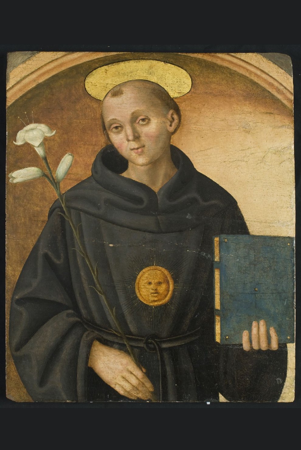 Sant'Antonio da Padova (dipinto, opera isolata) di Ibi Sinibaldo (primo quarto sec. XVI)