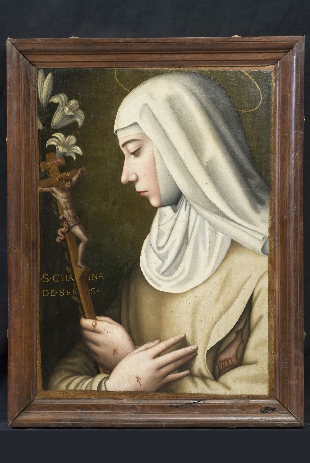 Santa Caterina da Siena (dipinto, opera isolata) di Nelli Margherita Pulissena detta Suor Plautilla - ambito fiorentino (secc. XVI/ XVII)