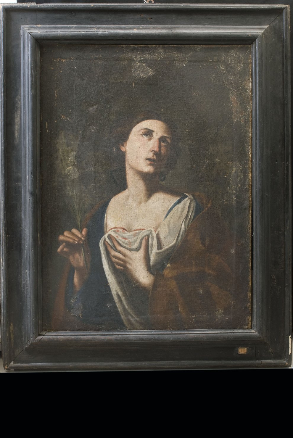 Sant'Agata (dipinto, opera isolata) - ambito dell'Italia centrale (seconda metà sec. XVII)