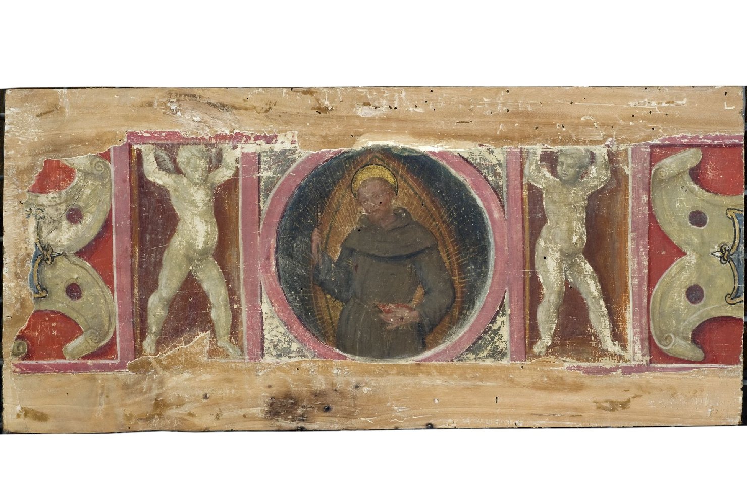 San Francesco d'Assisi (scomparto di predella, frammento) di Alfani, Domenico di Paris (attribuito) (prima metà sec. XVI)