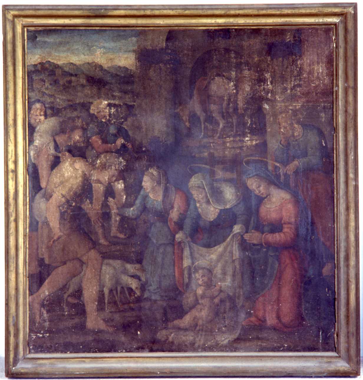 adorazione di Gesù Bambino (dipinto, opera isolata) di Alfani, Domenico di Paris (attribuito) (secondo quarto sec. XVI)
