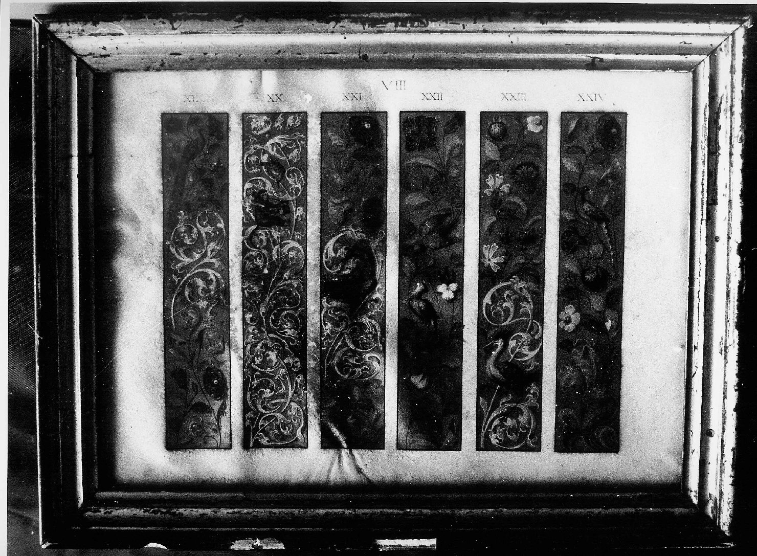 fregio (miniatura, elemento d'insieme) di Verga Napoleone (seconda metà sec. XIX)