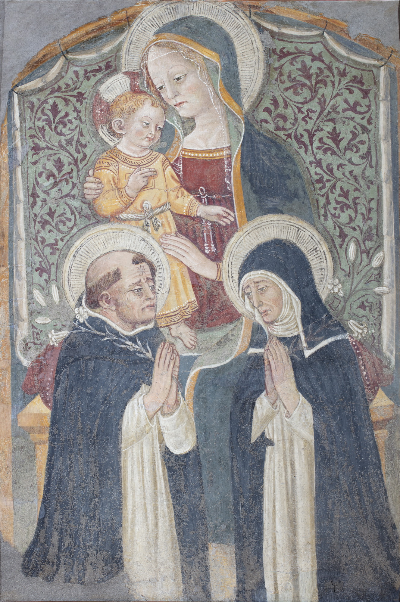 Madonna con Bambino e Santi (dipinto, opera isolata) di Giovanni di Tommasino Crivelli (seconda metà sec. XV)