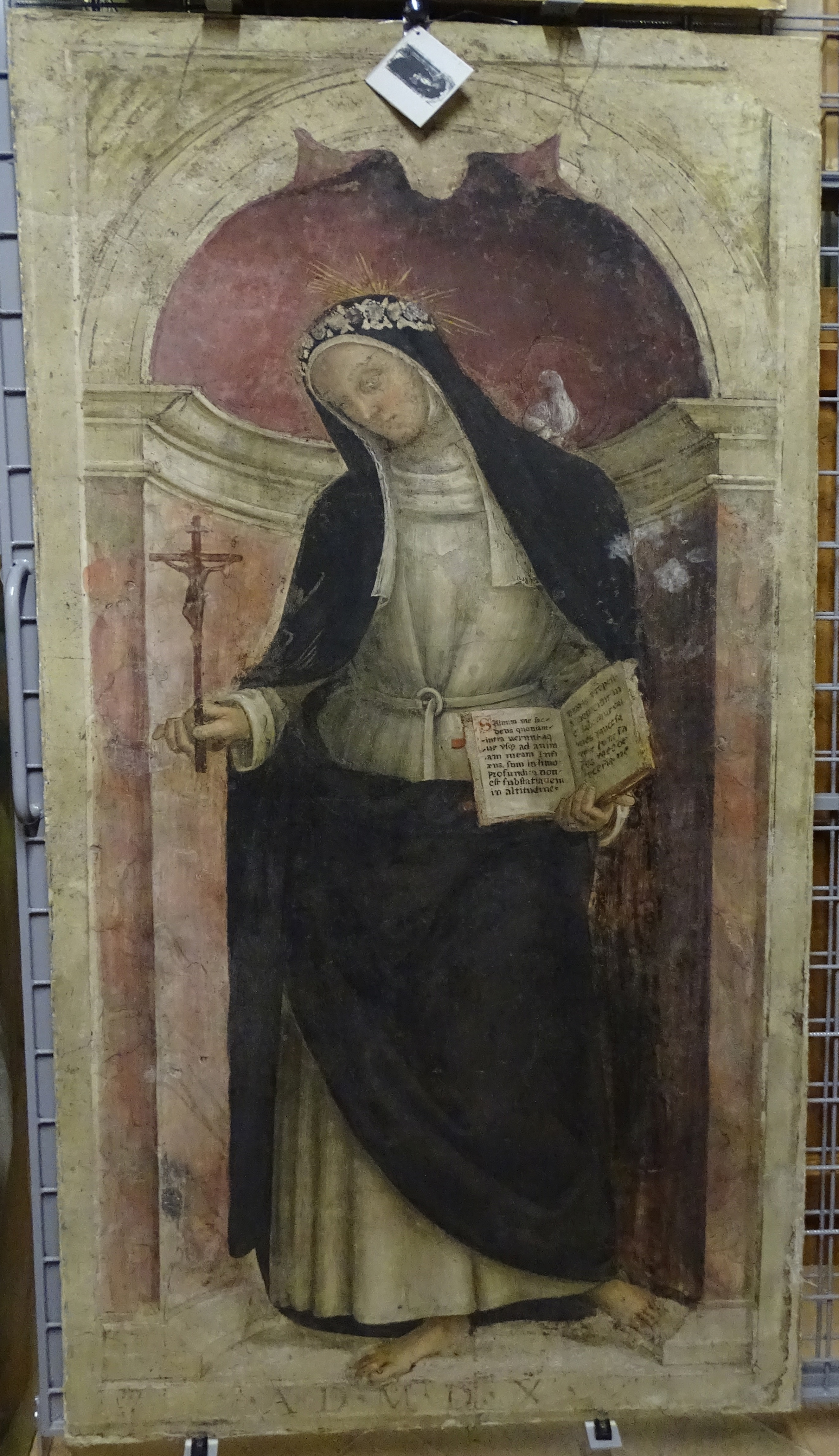 Beata Colomba da Rieti (dipinto, frammento) di Giovanni di Pietro detto Spagna (cerchia) (primo quarto sec. XVI)