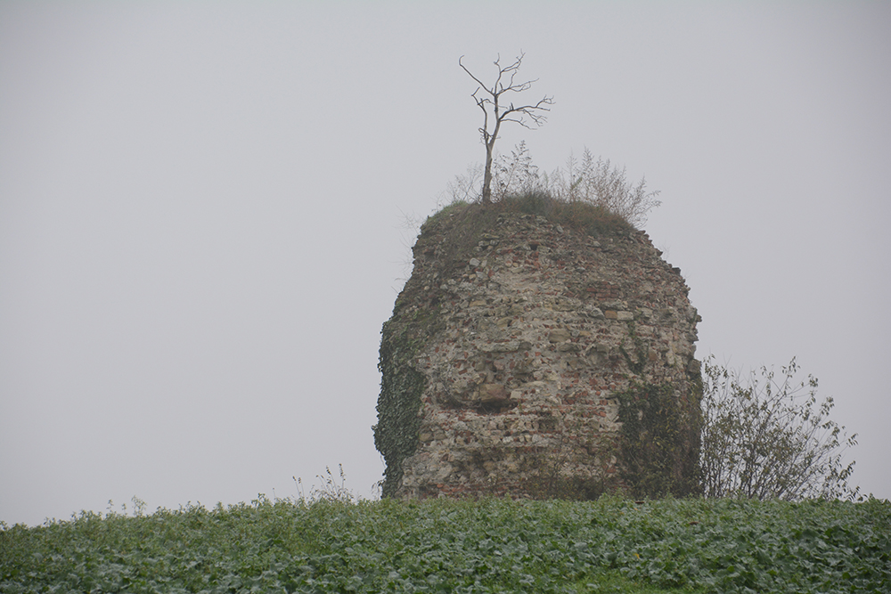 torre (torre, difensiva) - Occimiano (AL)  (XI)