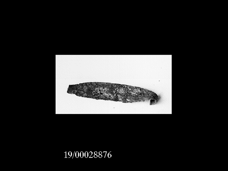 fibula (metà SECOLI/ VII a.C)