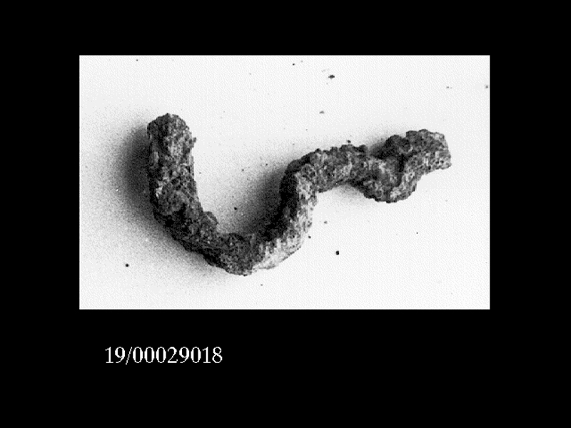 fibula/ arco (SECOLI/ VII a.C)