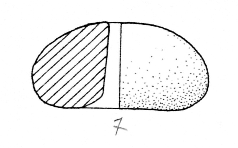 fuseruola (fine/ inizio SECOLI/ ARCHI DI SECOLI/ I-II)