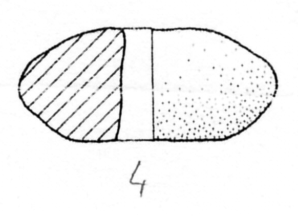 fuseruola (seconda metà SECOLI/ I)