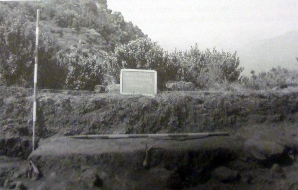 Pian del Lago - sito neolitico (luogo con tracce di frequentazione, paleosuolo) - Casarza Ligure (GE)  (PERIODIZZAZIONI/ Preistoria/ Neolitico)