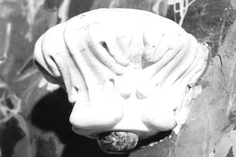 mensola - ambito pugliese (sec. XVIII)